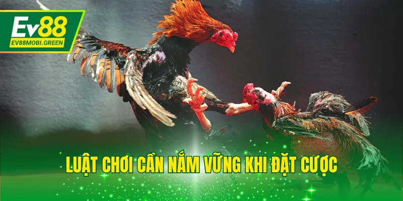 Luật chơi cần nắm vững khi đặt cược