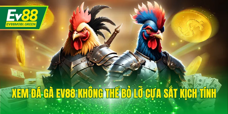 Xem đá gà EV88 không thể bỏ lỡ cựa sắt kịch tính
